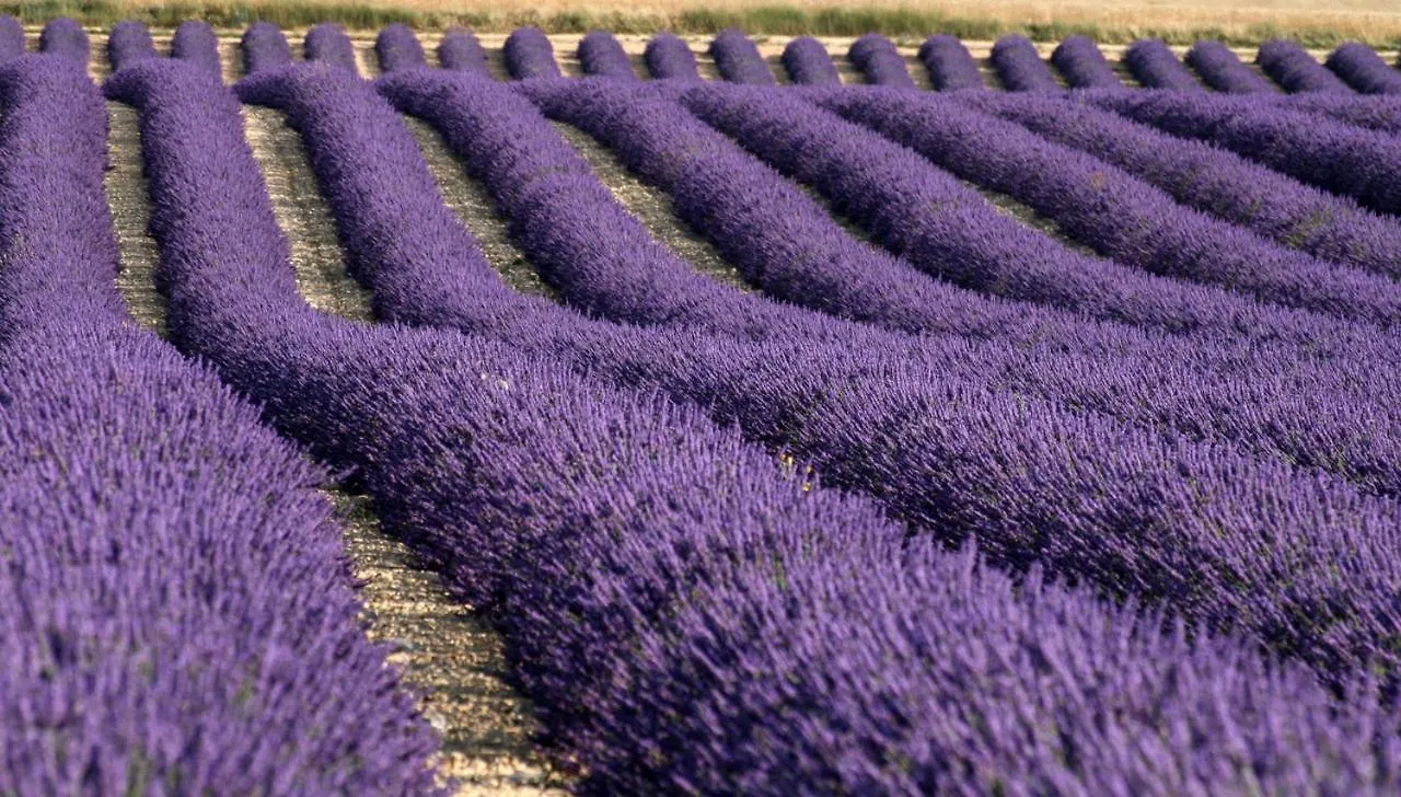 Appartamento Prouvenco Valensole 0*,