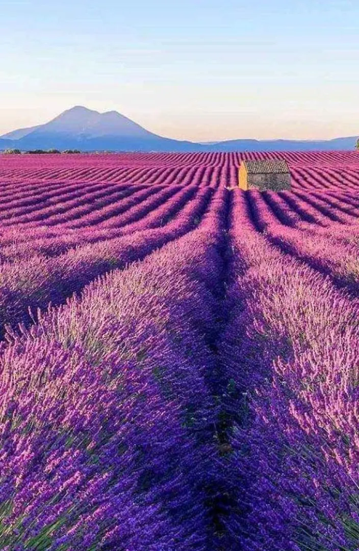 Alloggio in famiglia Appartamento Prouvenco Valensole